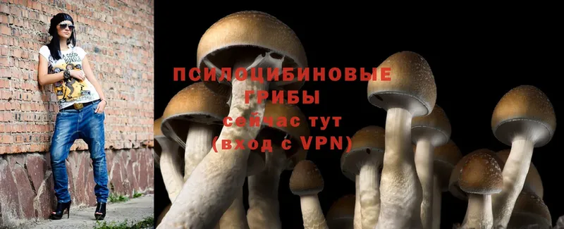 Галлюциногенные грибы Psilocybine cubensis  купить наркотик  Крымск 